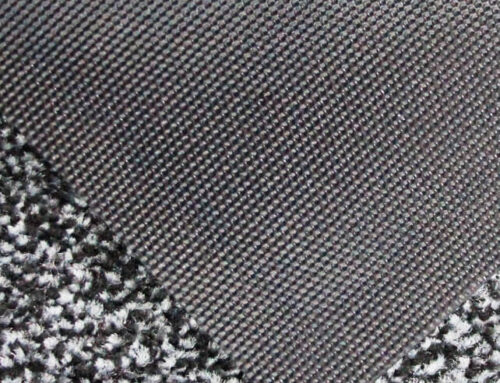 Entrance Washable Mat